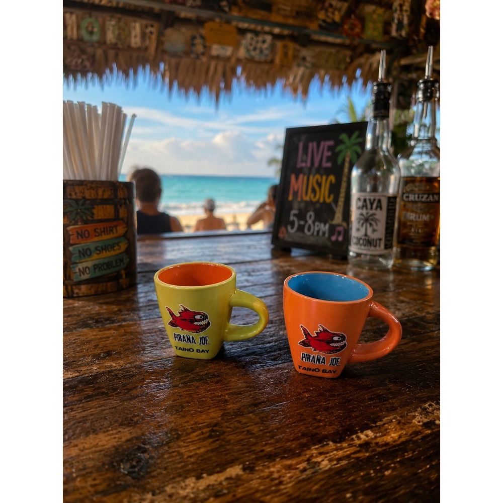 Pirana Joe Taino Bay Espresso Mug Set 2 Ceramic Mini Cups Orange Green Dominican